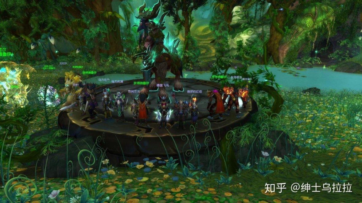 漂亮鹦鹉救援