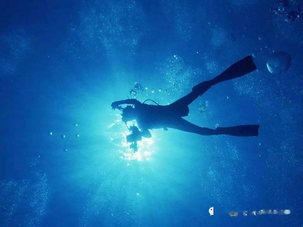 秋季浪漫约会