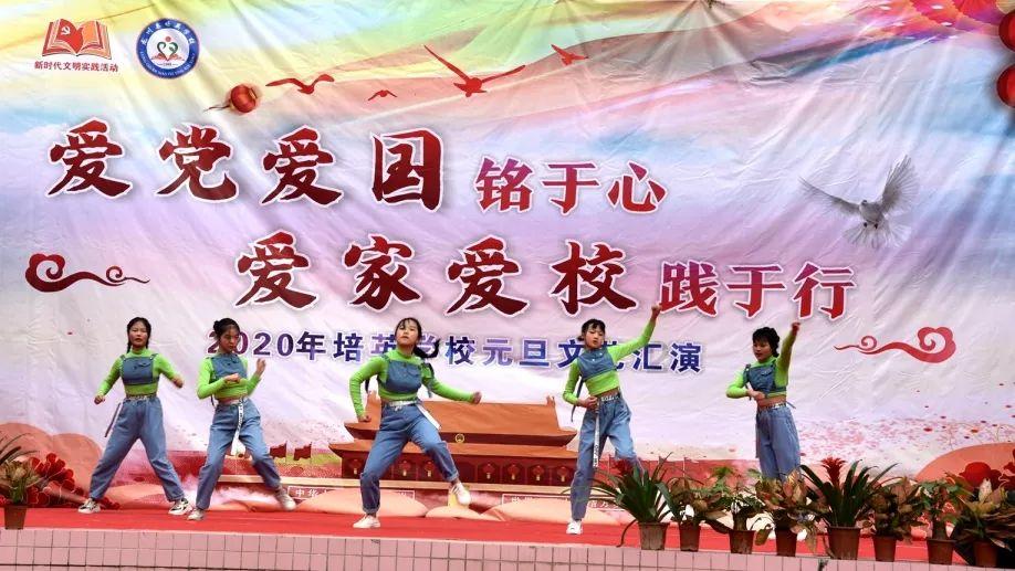 呆萌动物园