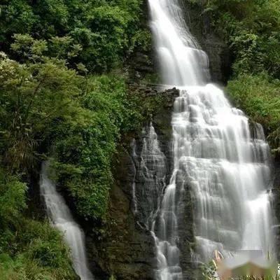 拯救巧虎2