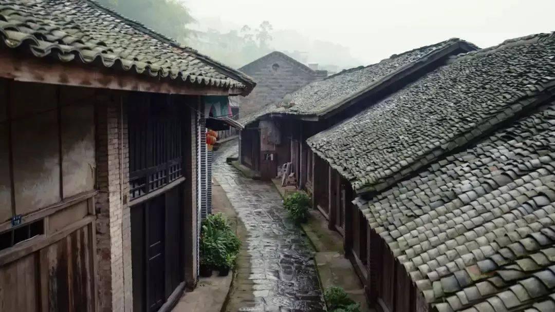 中国老年就业人口已超6600万,这数据说明了什么?反映了哪些社会现象?-全方位有问必答平台